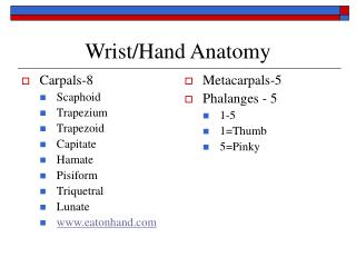 Wrist/Hand Anatomy