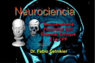 Neurociencia