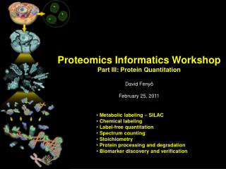 Proteomics Informatics Workshop Part III: Protein Quantitation David Fenyö February 25, 2011