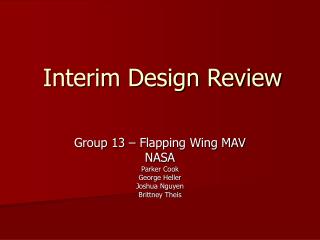 Interim Design Review
