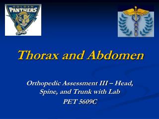 Thorax and Abdomen