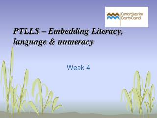 PTLLS – Embedding Literacy, language &amp; numeracy