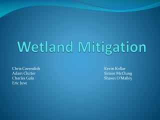 Wetland Mitigation