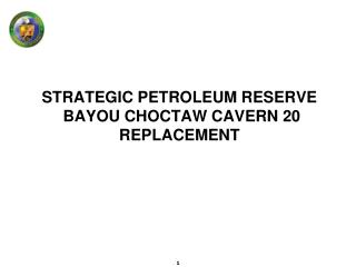 STRATEGIC PETROLEUM RESERVE BAYOU CHOCTAW CAVERN 20 REPLACEMENT