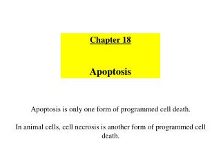 Chapter 18 Apoptosis