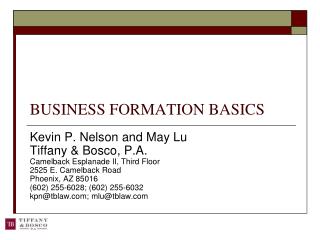 BUSINESS FORMATION BASICS