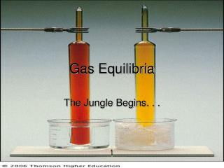 Gas Equilibria