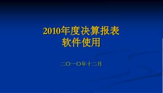 2010 年度决算报表 软件使用