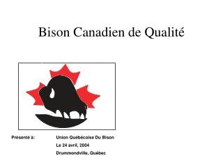 Bison Canadien de Qualité