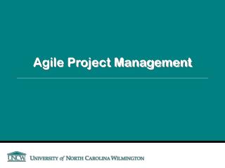 Agile Project Management