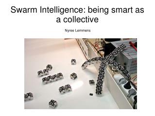 Swarm Intelligence: being smart as a collective