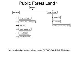 Public Forest Land *