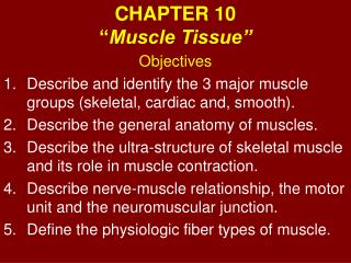 CHAPTER 10 “ Muscle Tissue”