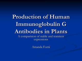 Production of Human Immunoglobulin G Antibodies in Plants