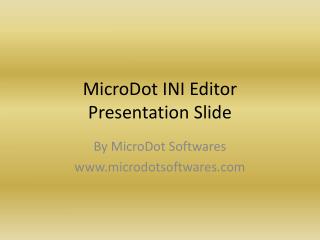 MicroDot INI Editor Presentation Slide