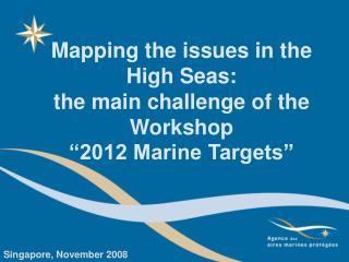 Mapping the issues in the High Seas: the main challenge of the Workshop “2012 Marine Targets”