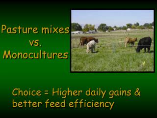 Choice = Higher daily gains &amp; better feed efficiency