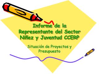 Informe de la Representante del Sector Niñez y Juventud CCERP