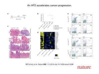 MD Schulz et al. Nature 000 , 1-5 (2014) doi:10.1038/nature13398