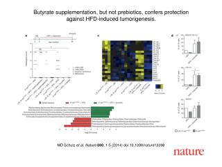 MD Schulz et al. Nature 000 , 1-5 (2014) doi:10.1038/nature13398