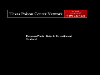 Poisonous Plants - Guide to Prevention and Treatment