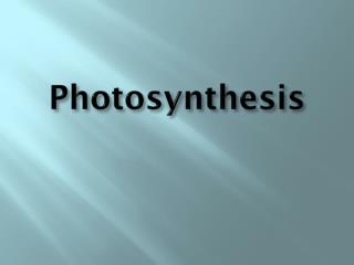 Photosynthesis