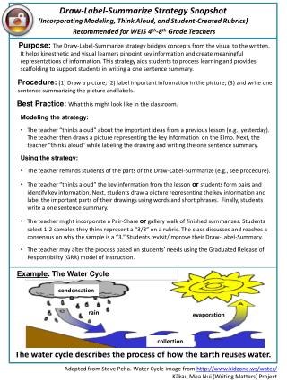 Draw-Label-Summarize Strategy Snapshot