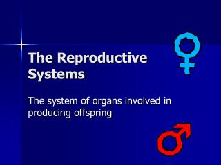 The Reproductive Systems