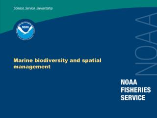 Marine biodiversity and spatial management