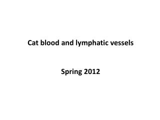 Cat blood and lymphatic vessels Spring 2012