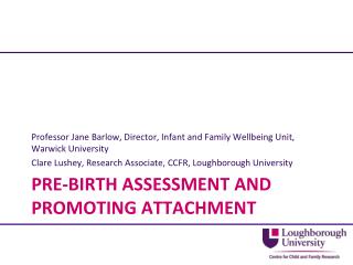 Pre-birth assessment and promoting attachment