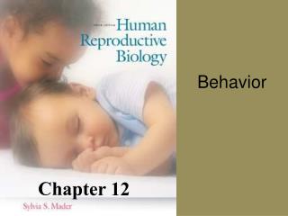 Chapter 12