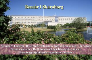 Bensår i Skaraborg