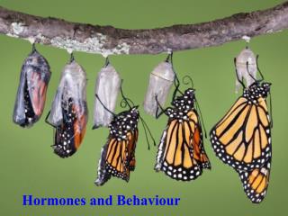 Hormones and Behaviour