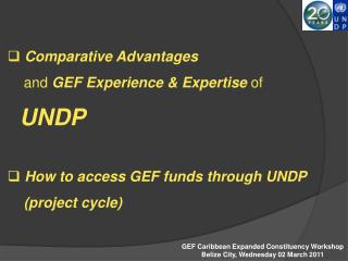 Comparative Advantages and GEF Experience &amp; Expertise of UNDP