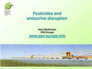 Pesticides and endocrine disruption Hans Muilerman, PAN Europe pan-europe