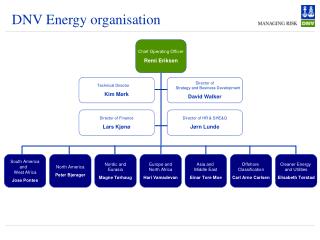 DNV Energy organisation