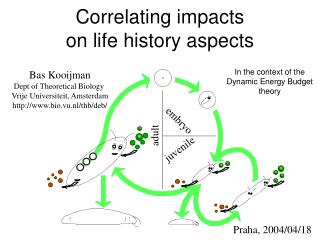 Correlating impacts on life history aspects
