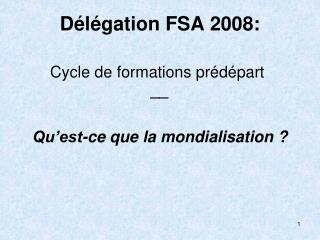 Délégation FSA 2008: Cycle de formations prédépart