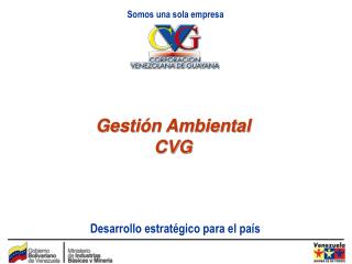 Gestión Ambiental CVG