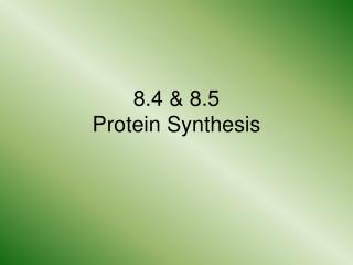 8.4 &amp; 8.5 Protein Synthesis