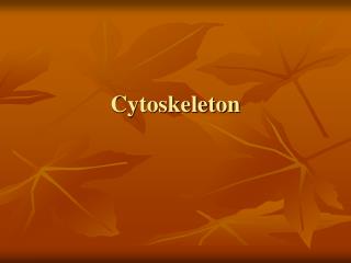 Cytoskeleton