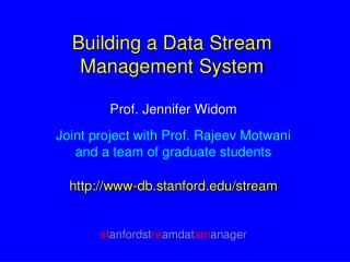 Building a Data Stream Management System