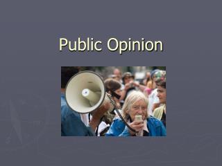 Public Opinion