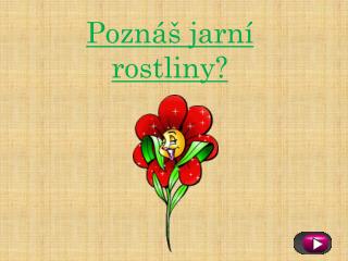 Poznáš jarní rostliny?