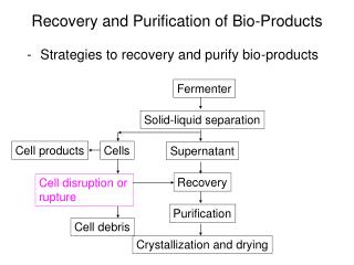 Recovery and Purification of Bio-Products