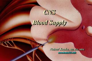 CNS Blood Supply