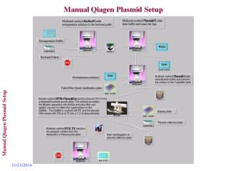 Manual Qiagen Plasmid Setup