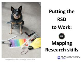 Putting the RSD to Work: Mapping Research skills