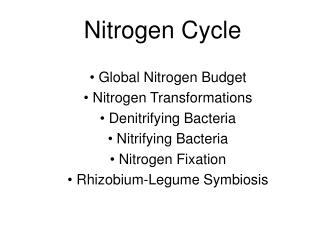 Nitrogen Cycle